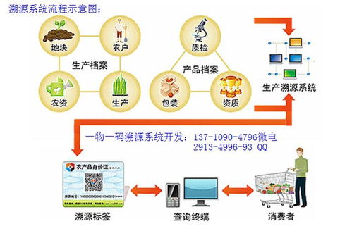 構建有機蔬菜二維碼防偽溯源體系 信息系統集成服務的實踐路徑